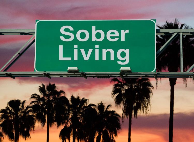 Understanding the Differences Between Sober Living Homes and Rehabilitation Centers